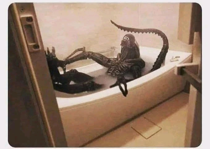 GIF hochgeladen von Doris