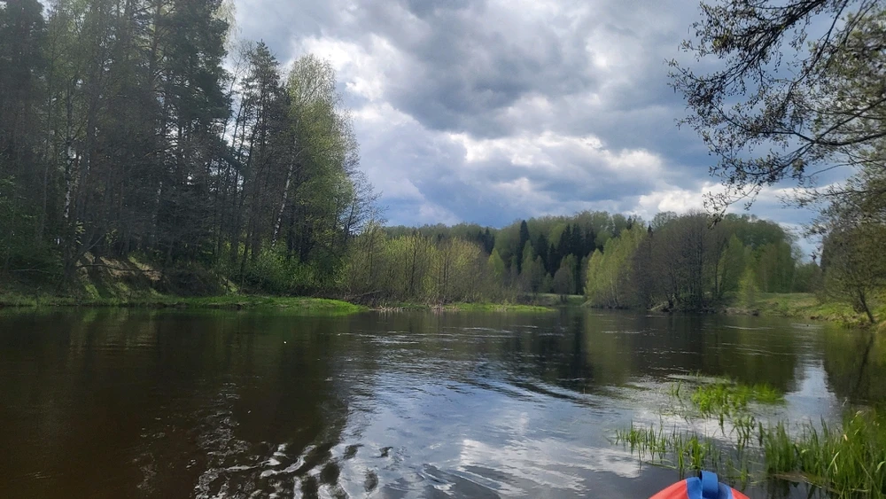Фото загрузил Екатерина