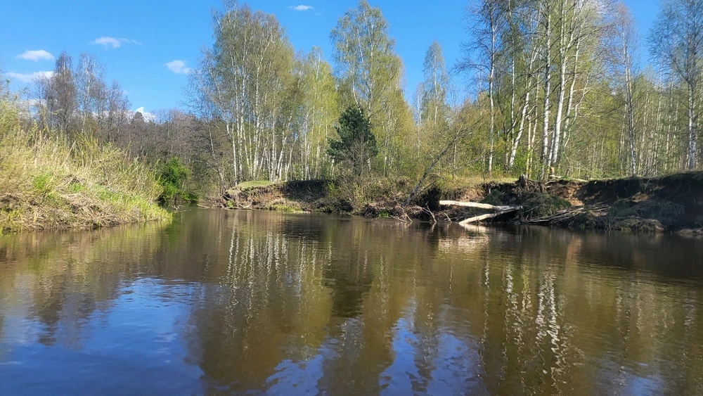 Фото загрузил Екатерина