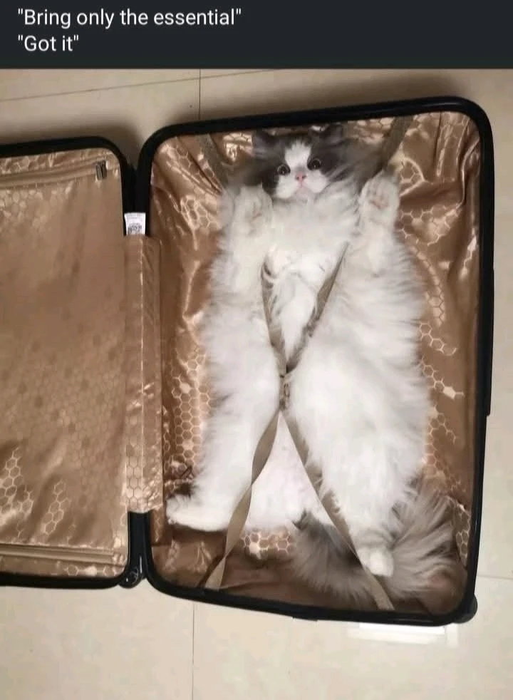 GIF uploaded by Alfredo