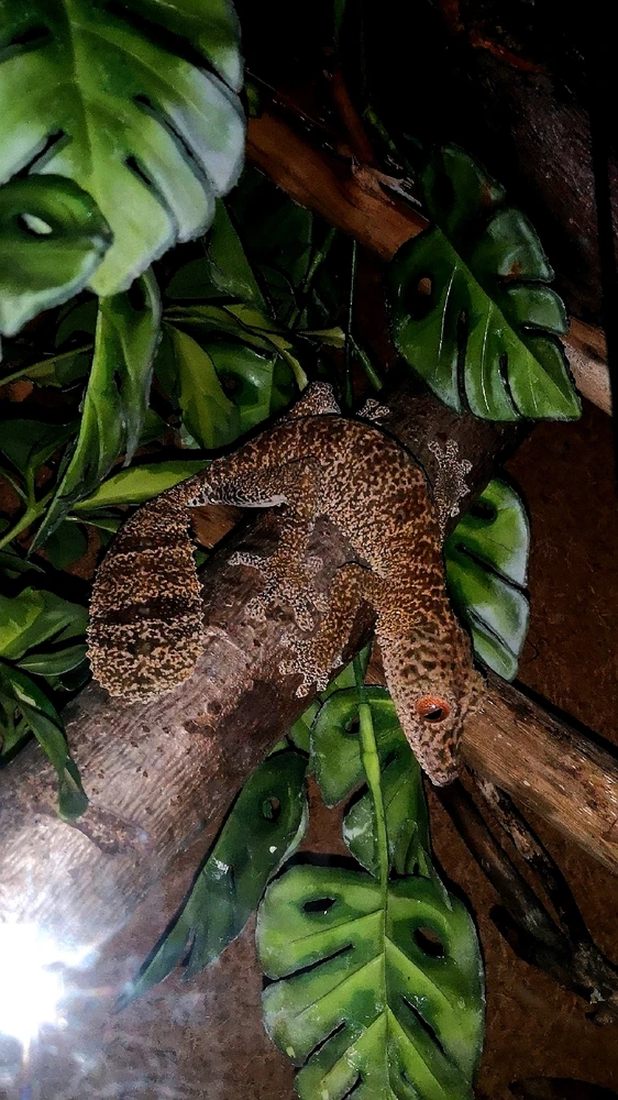 Fotku nahral/-a Andrej