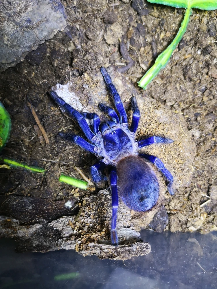 Fotku nahral/-a Andrej