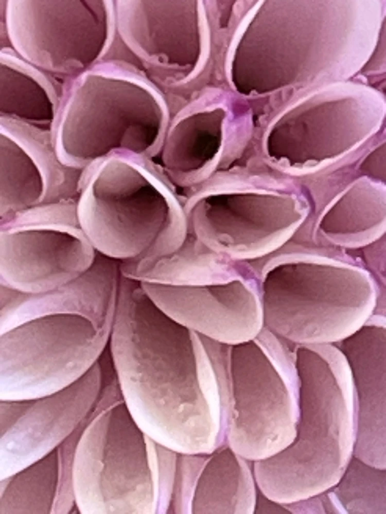 GIF enviado por Bruno