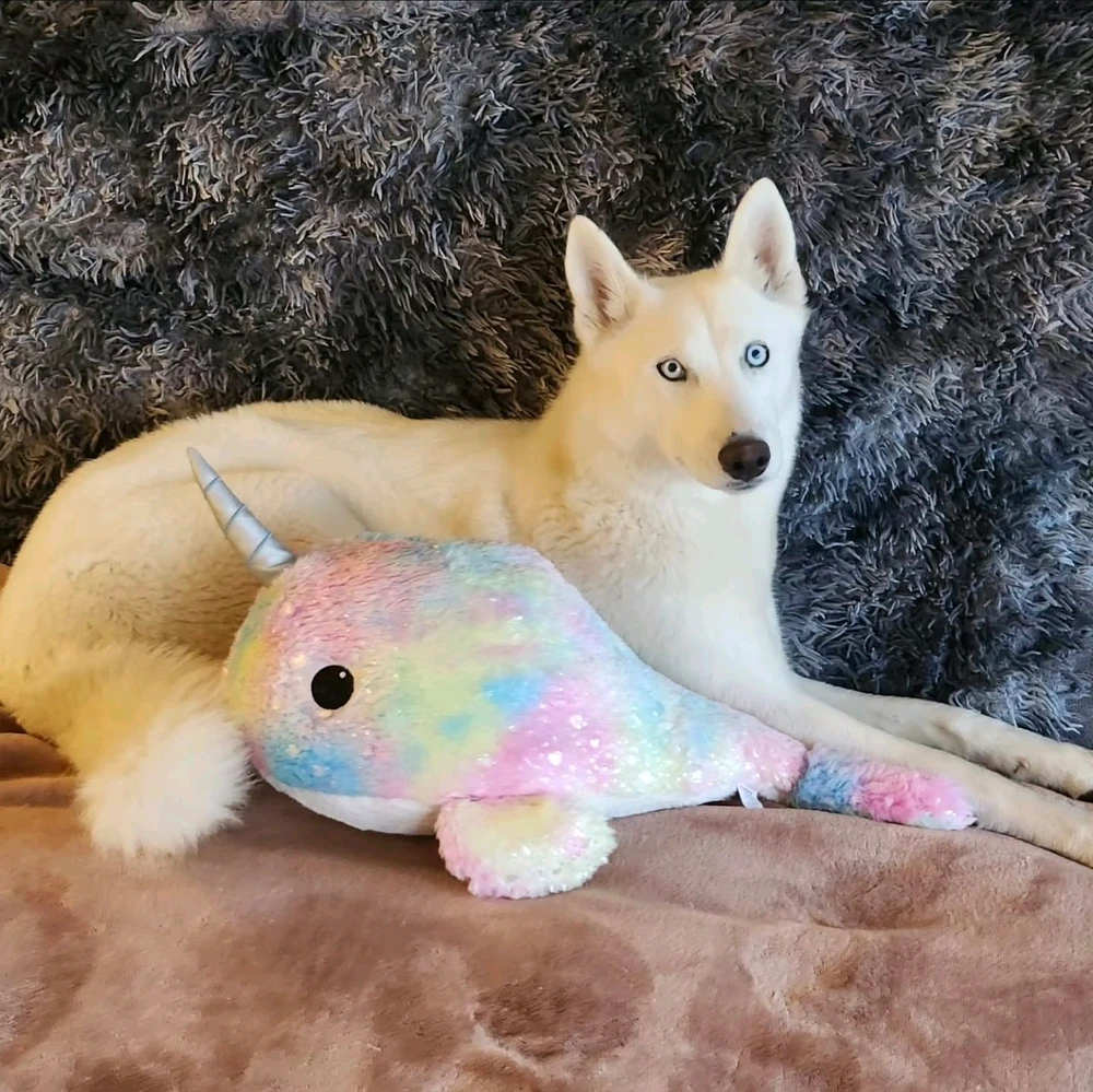 GIF uploaded by Scott