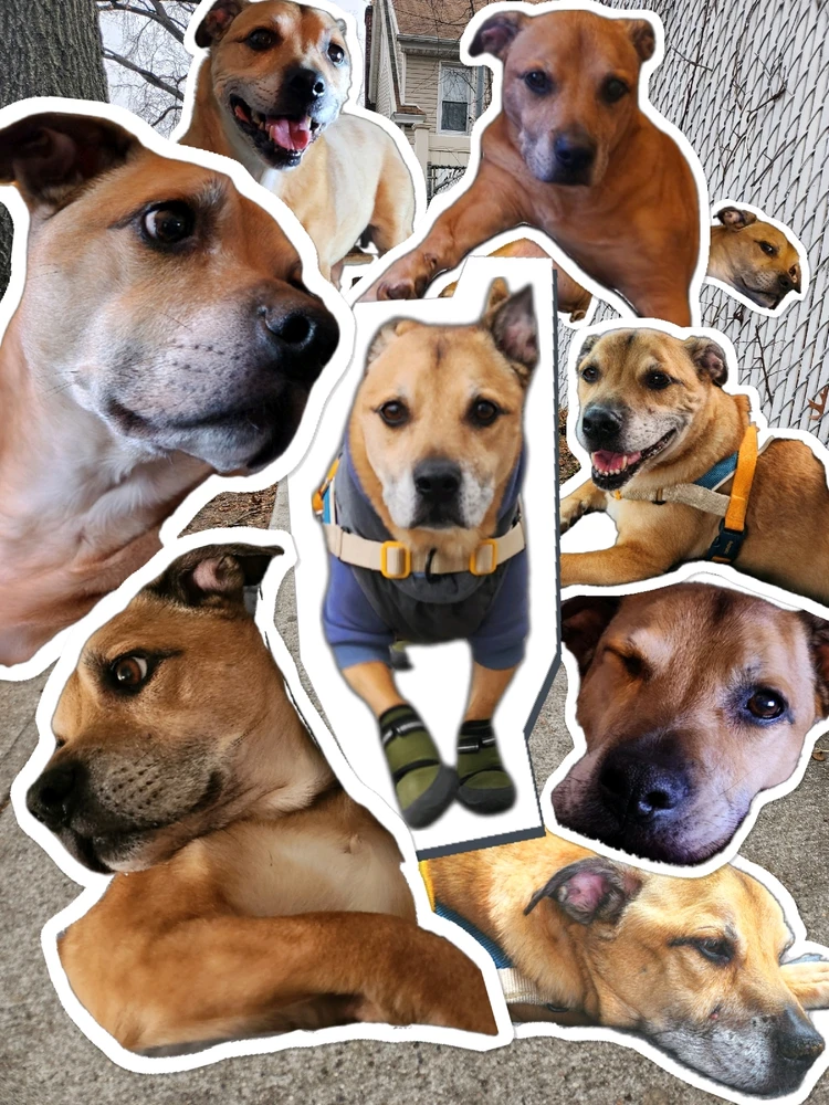 Image uploaded by Simon