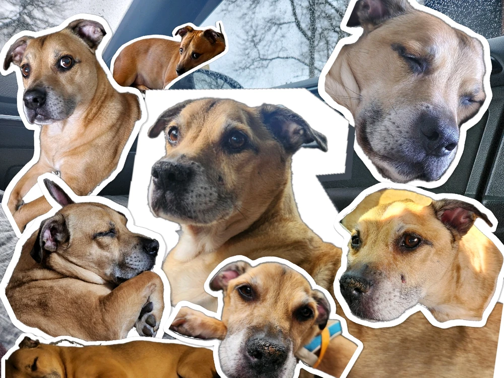 Image uploaded by Simon