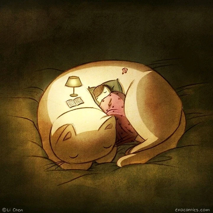 GIF uploaded by Ally