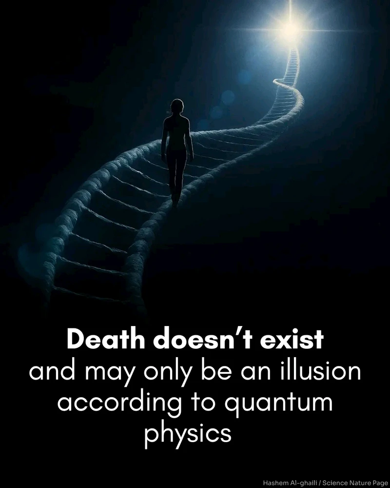 GIF uploaded by Dolly