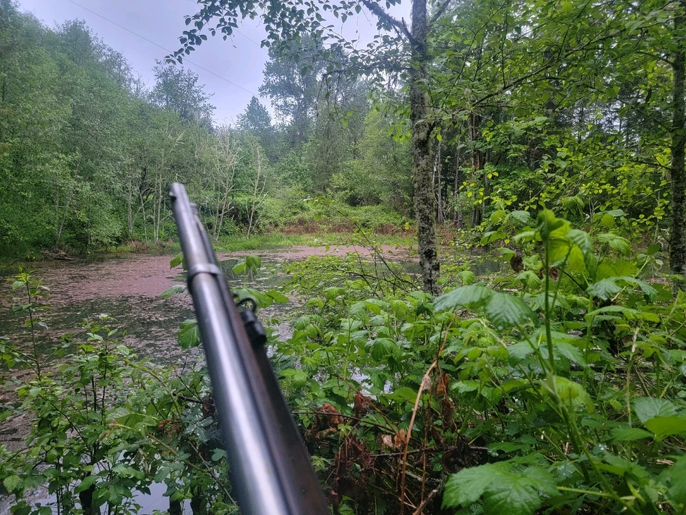 Image uploaded by Justin Dille