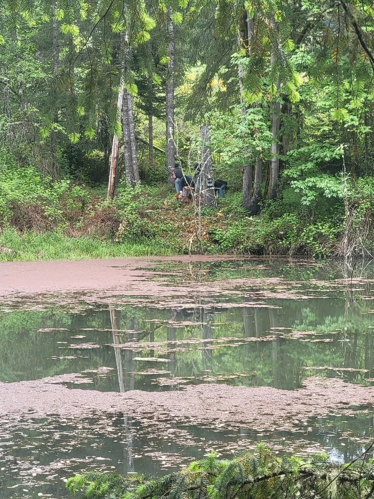 Image uploaded by Justin Dille