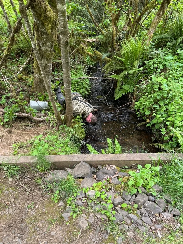 Image uploaded by Justin Dille