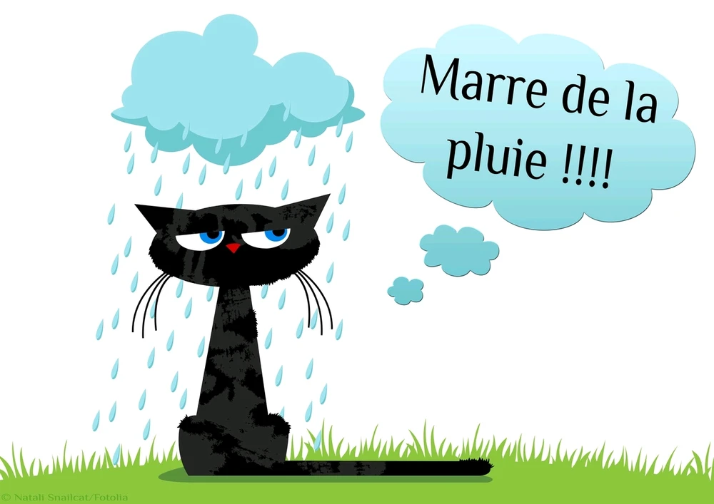 GIF ajouté par Philippe