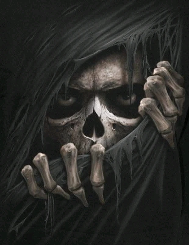 GIF uploaded by Adorable Dork