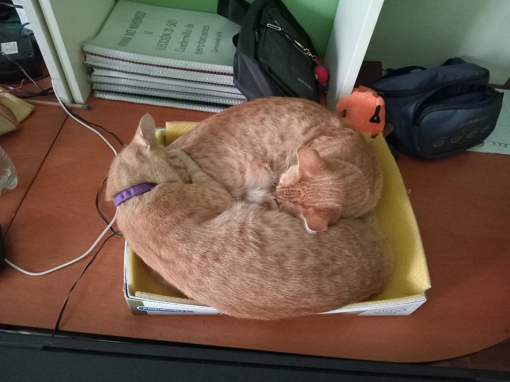 Imagen subida por Sambayon