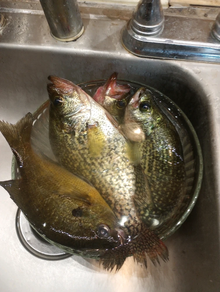 GIF uploaded by Jeff