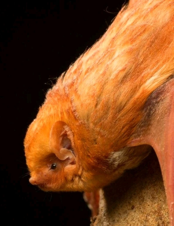 Зображення завантажив Natalia🦇