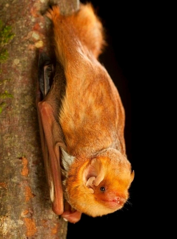 Зображення завантажив Natalia🦇