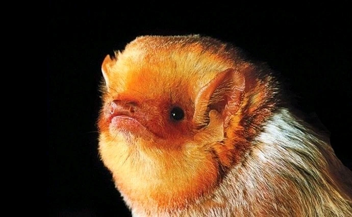 Зображення завантажив Natalia🦇