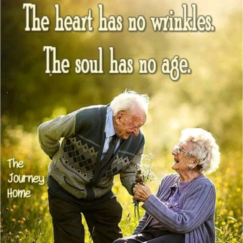 Image uploaded by Naveed Anjum