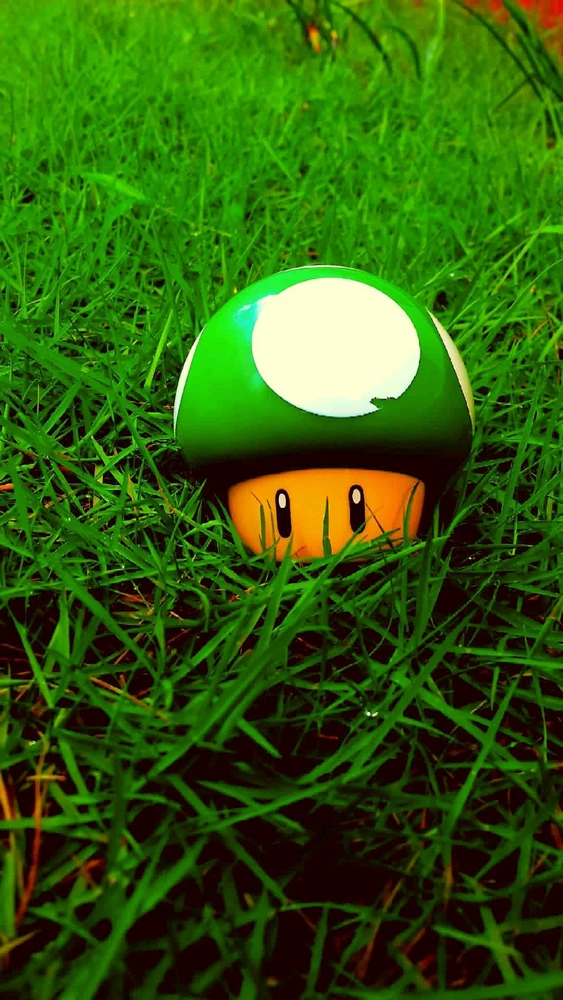 Image uploaded by A Cash