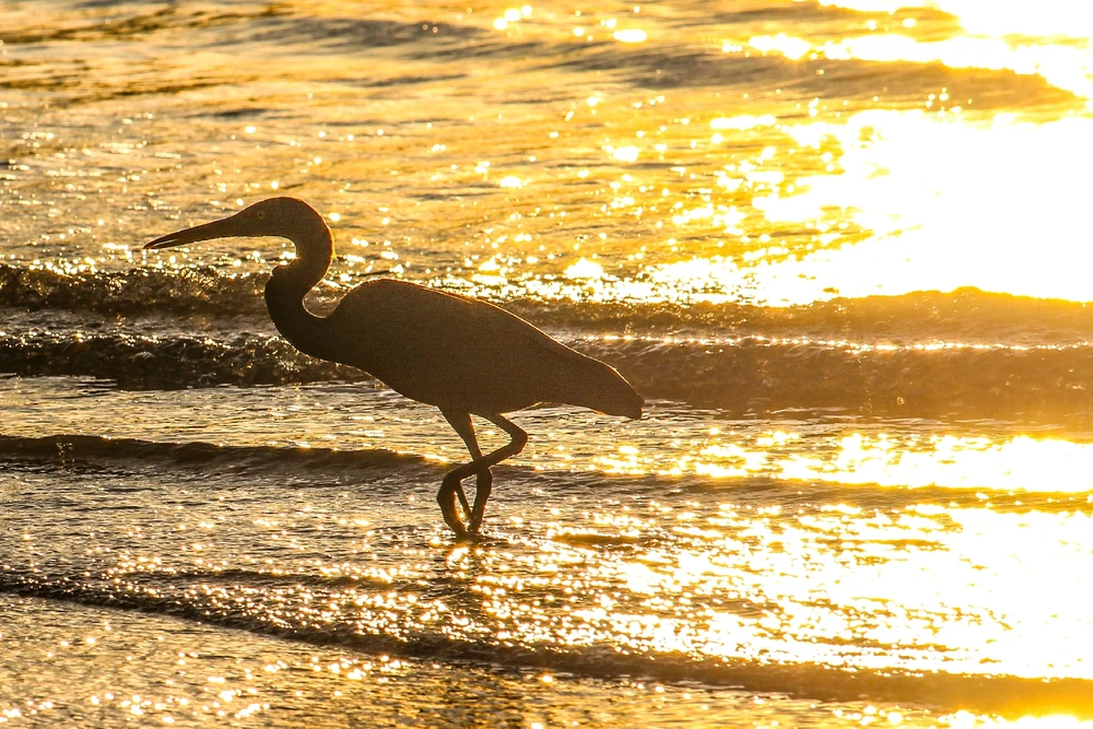 GIF uploaded by Kris