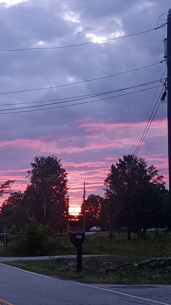 Gambar diunggah dening Donavan