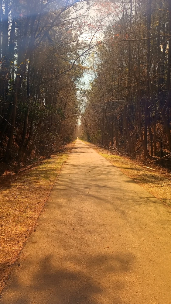 Gambar diunggah dening Donavan