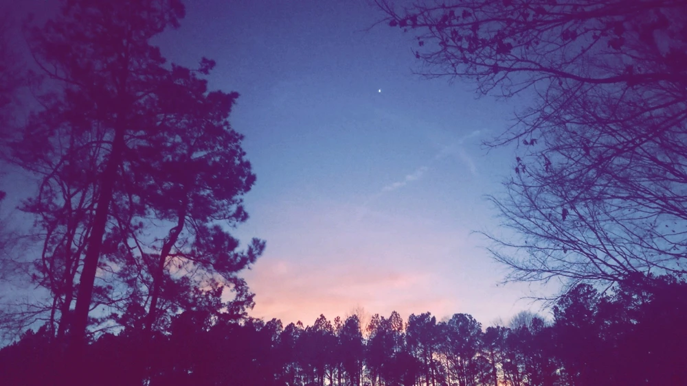 Gambar diunggah dening Donavan