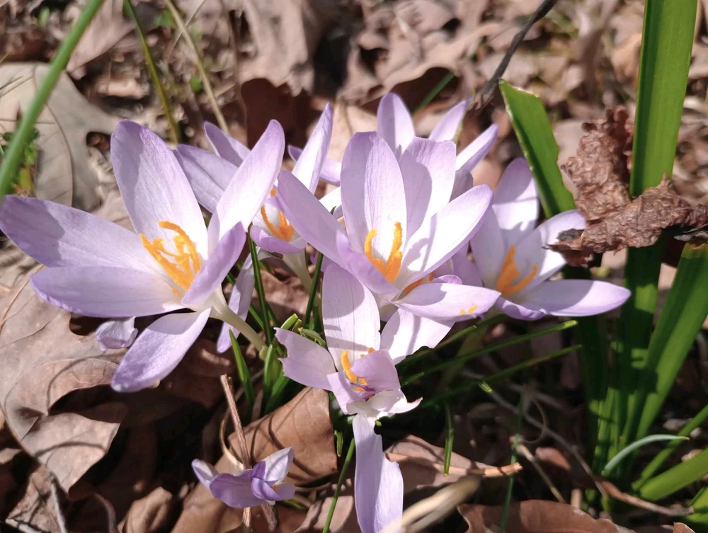 Gambar diunggah dening Donavan