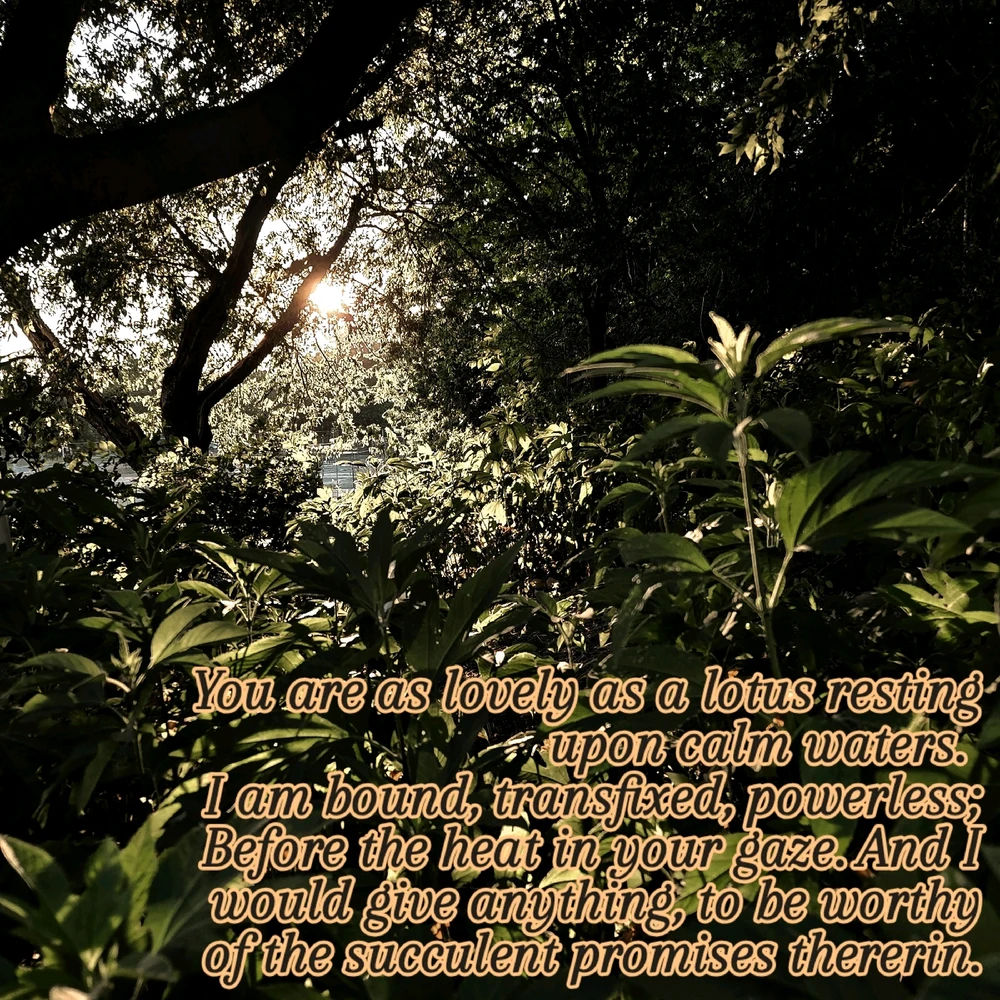 GIF uploaded by Chris