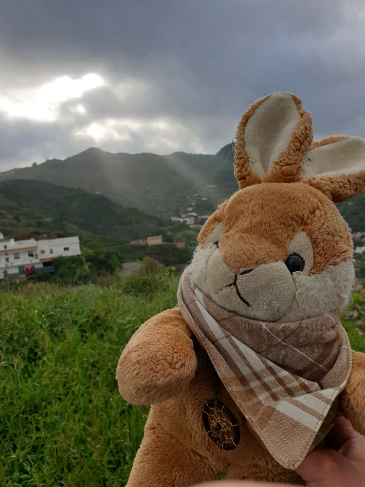 GIF hochgeladen von Julia