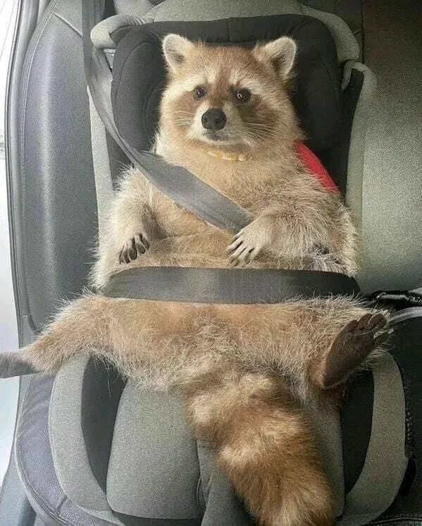 GIF uploaded by 《🌹.::Lenöré::.🌹》