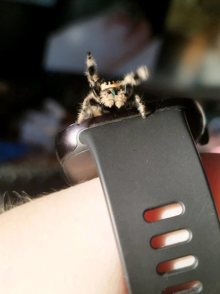 Image uploaded by Jul