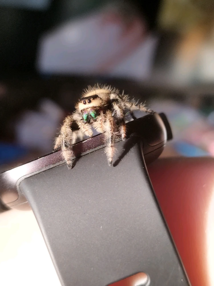 Image uploaded by Jul