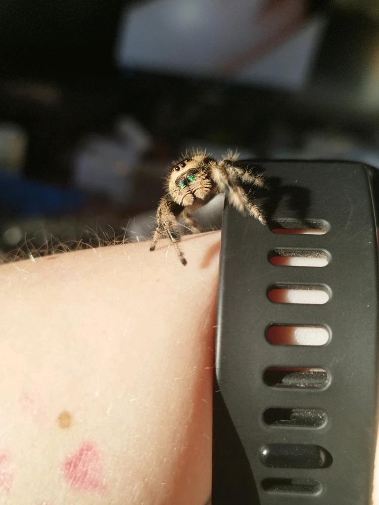 Image uploaded by Jul