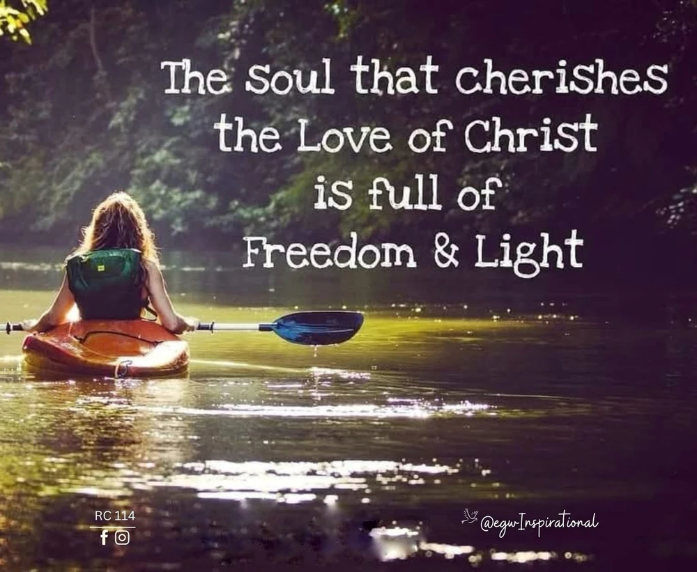 GIF uploaded by Gentle Giant