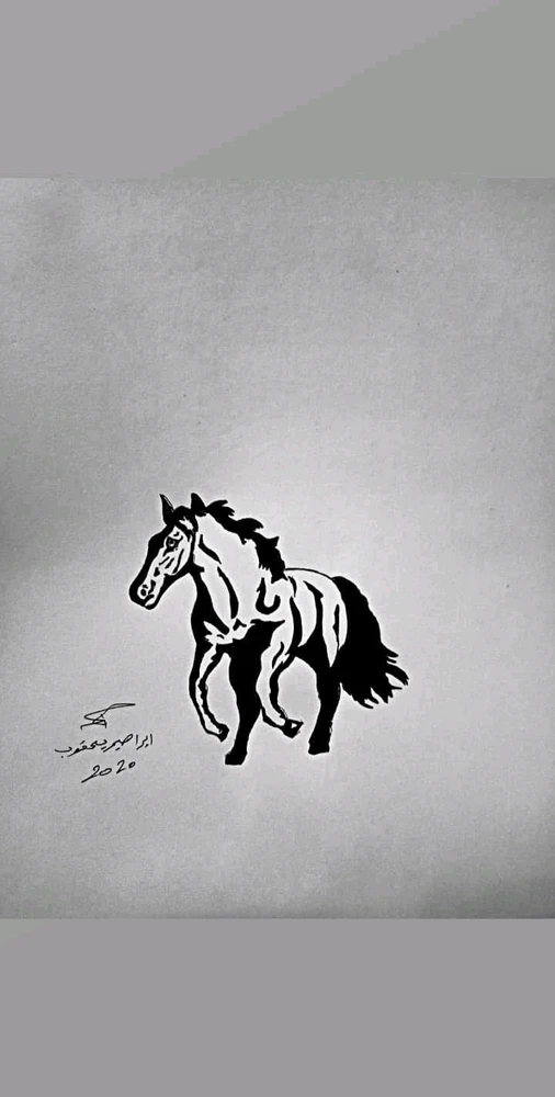 صورة رفعها Ibrahim