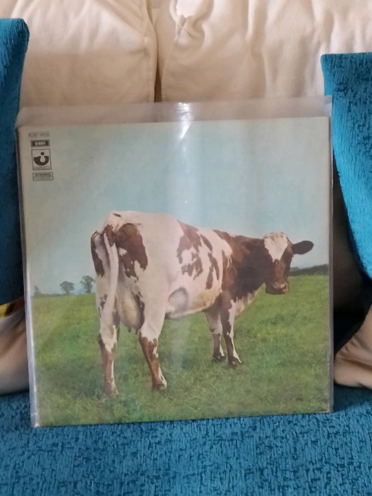 GIF caricata da LunaStorta