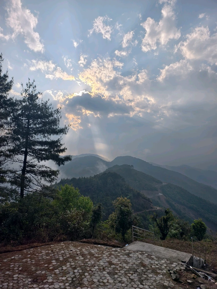 Image uploaded by Sanam