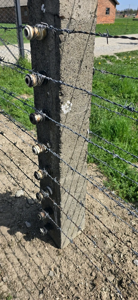 Gambar diunggah dening Suzy