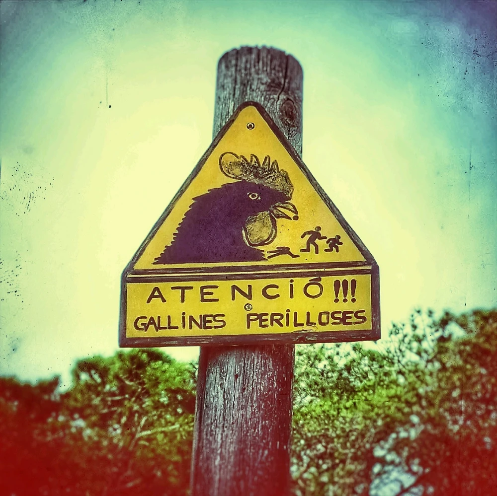 Bild hochgeladen von Tristan