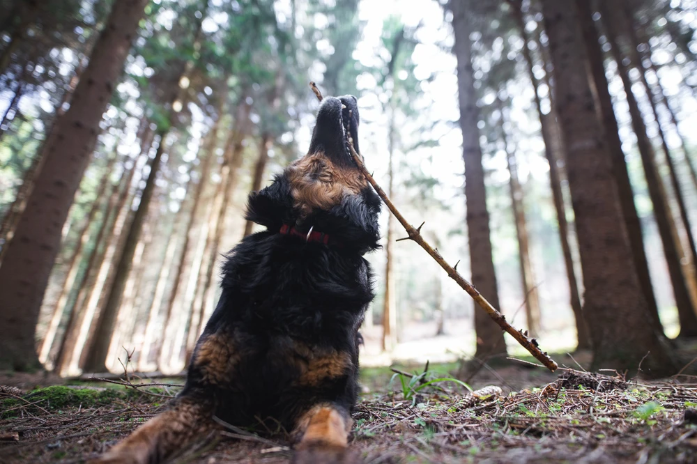 Obrázek nahrál Filip