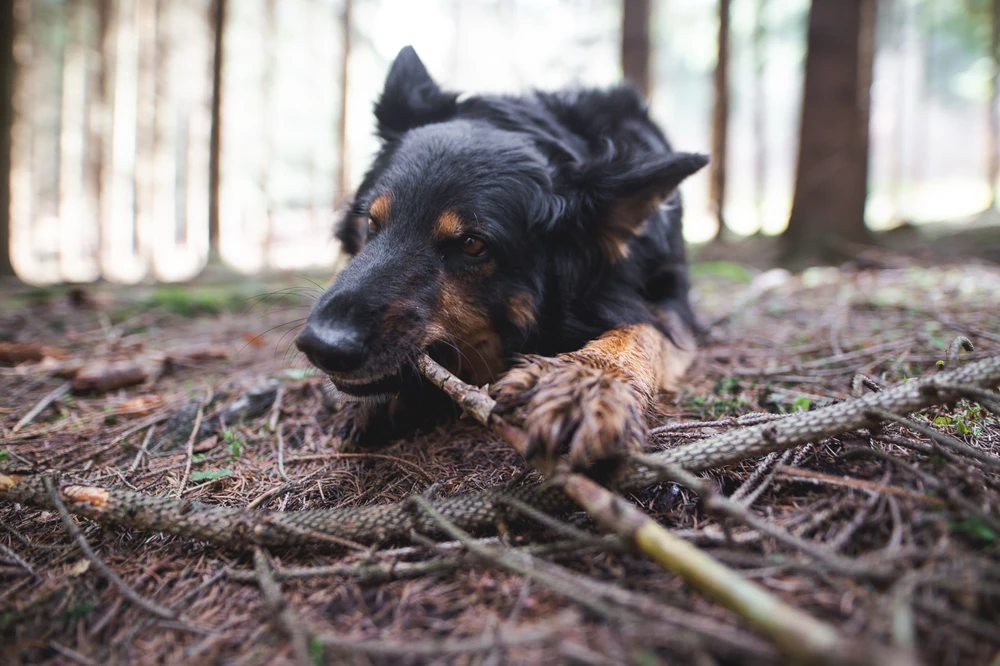 Obrázek nahrál Filip