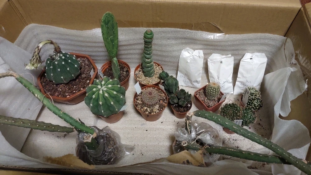 Obrázek nahrál zero