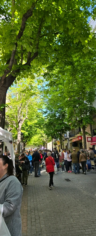 What do you do on a daily basis