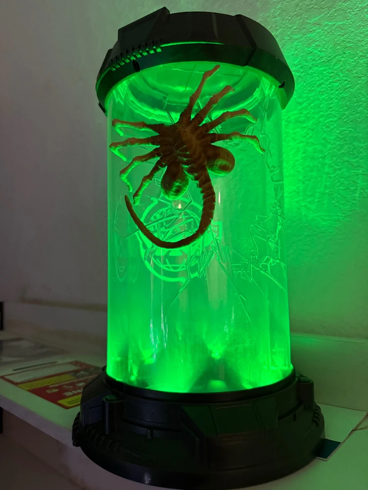 Image uploaded by Chris