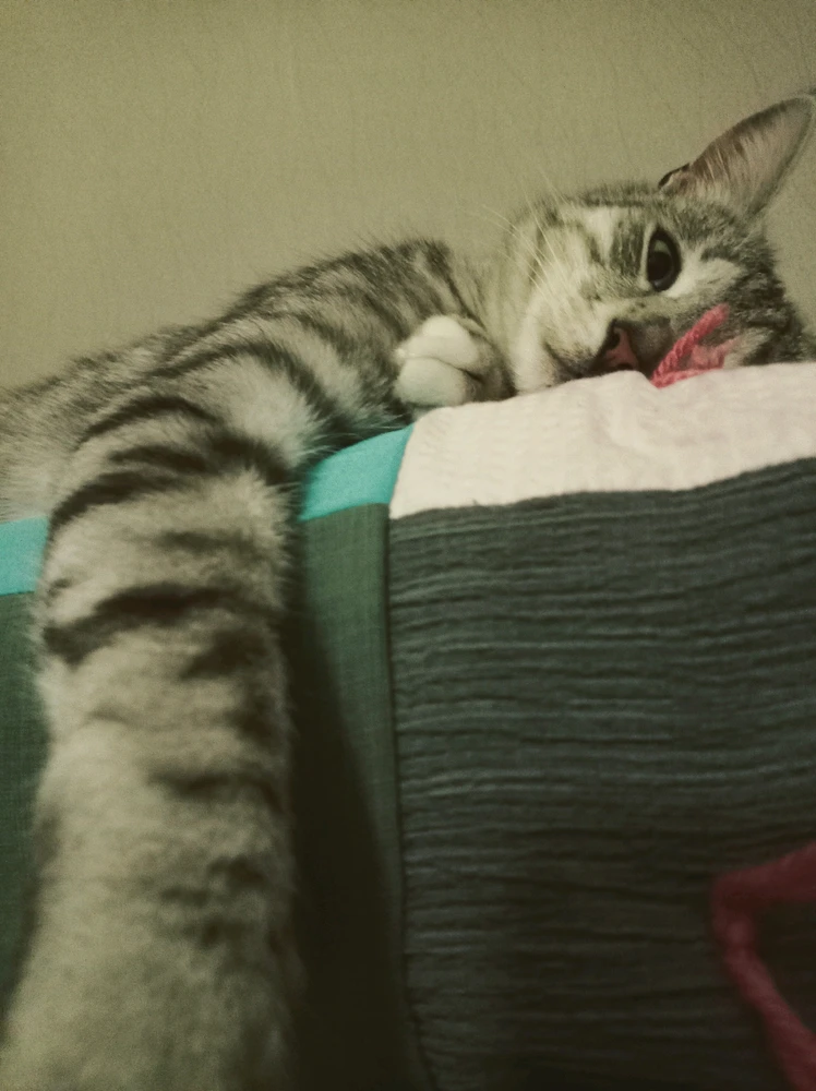 Выява загружана Olga