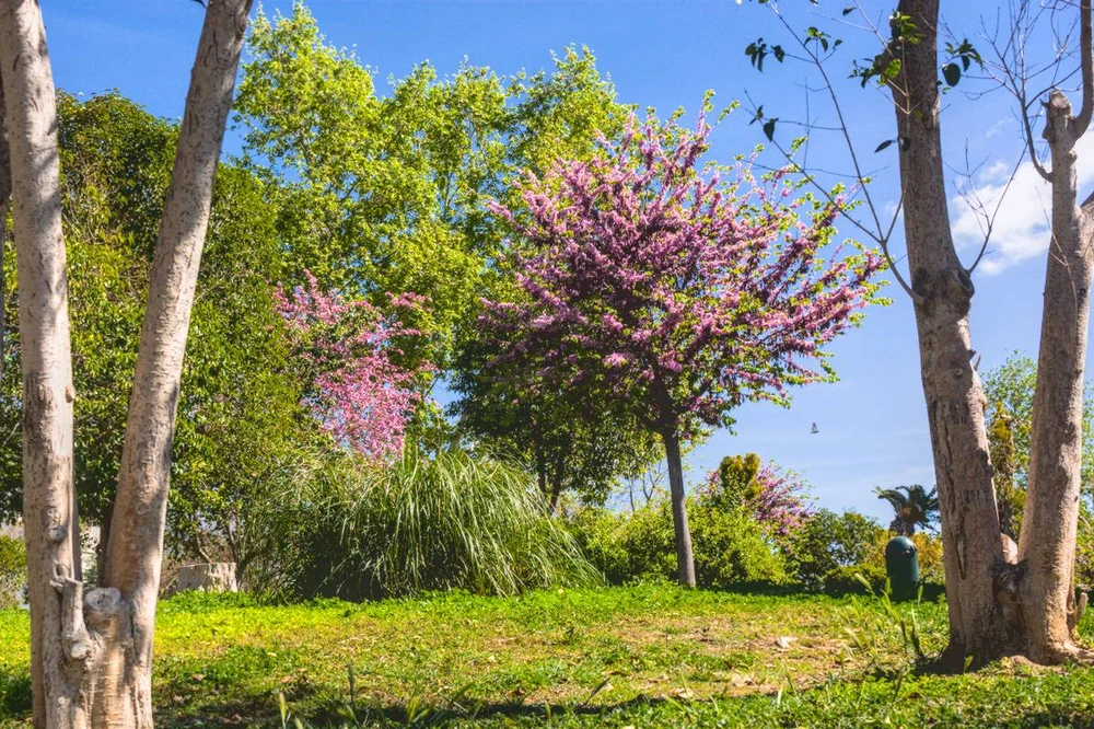 Image uploaded by Michalis