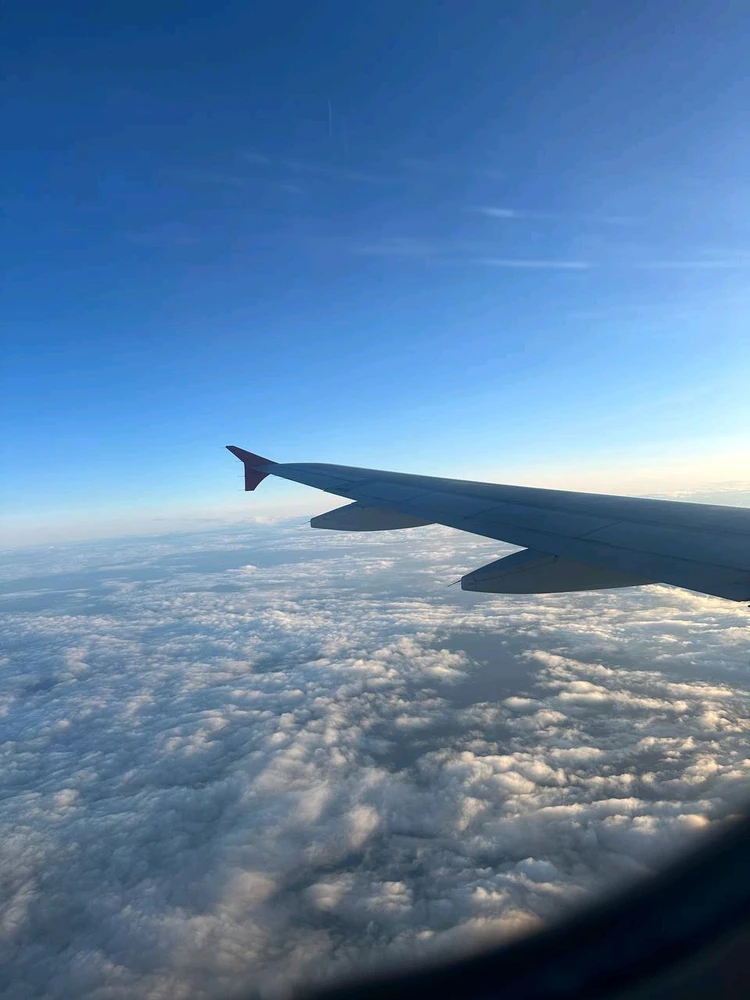 Фото загрузил Мария