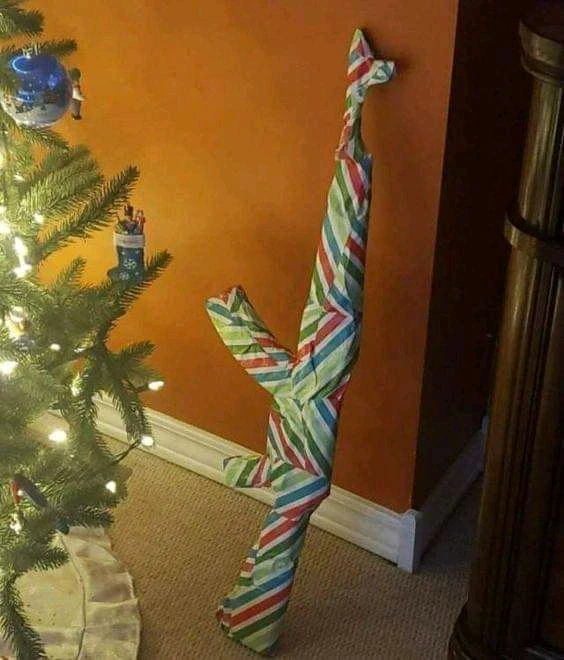 GIF uploaded by A Cash